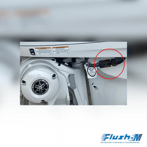 Yamaha & Honda Quick Flushing Plug Solution