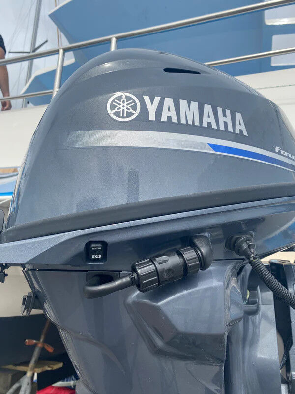 Yamaha & Honda Quick Flushing Plug Solution