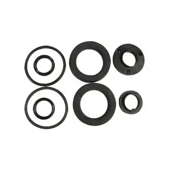 Seal Kit T/S 294036+38  Hs5184
