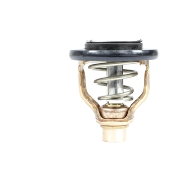 Thermostat Yamaha F300-F350