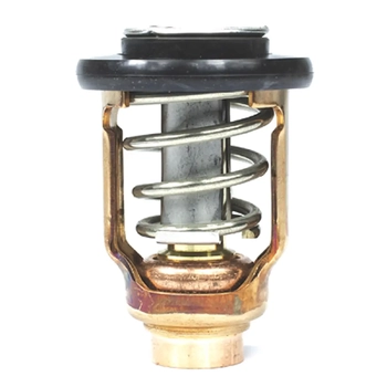 Thermostat Yamaha Vf200La-Vf250La