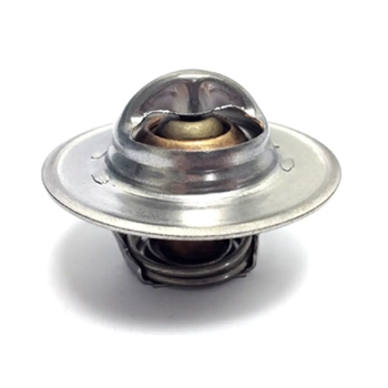Thermostat 160Deg