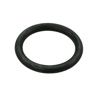 RWB "O" Ring For Piston