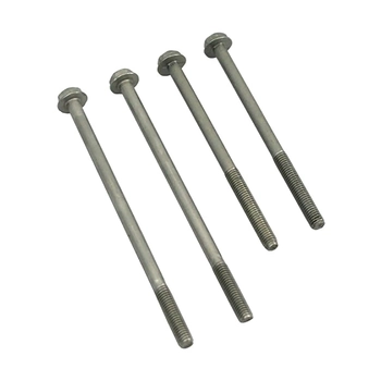 RWB S/S Bolt Kit - Macerator