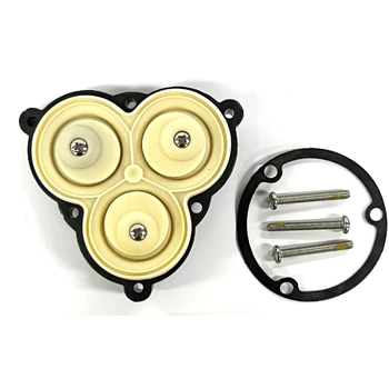 Drive Assy Shurflo 3901