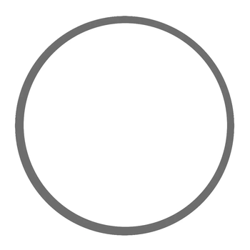 RWB O Ring 1892-94 Strainer