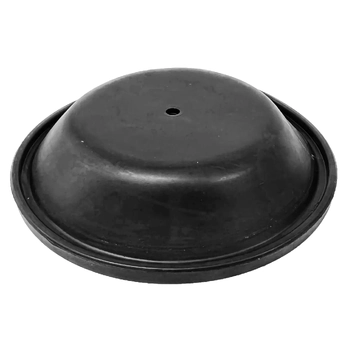 RWB Diaphragm For 2202 Pump