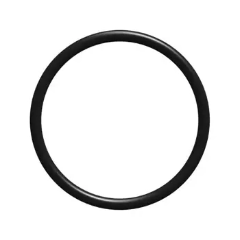 "O RING 1 1/8"" QWIK-LOK"