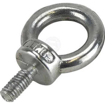 6mm Ss 316 Eyeboltdin 580